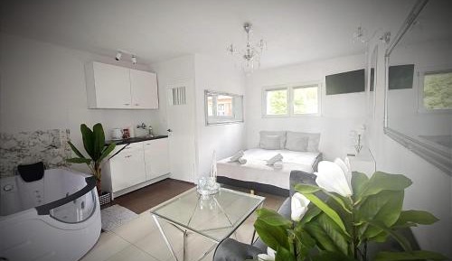 One-Bedroom Apartment with Lake View