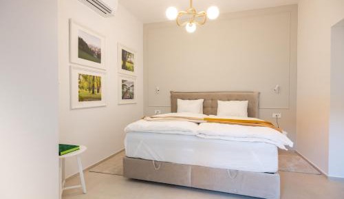 One-Bedroom Superior Apartment