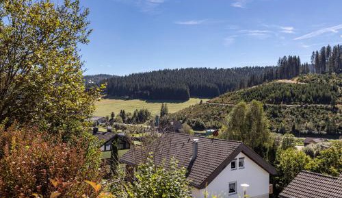 Two-Bedroom Superior Apartment