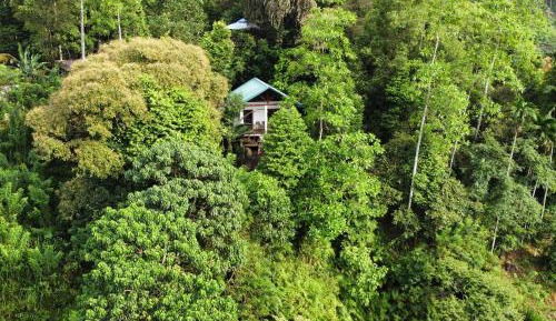 Deluxe Double Room with Extra Bed