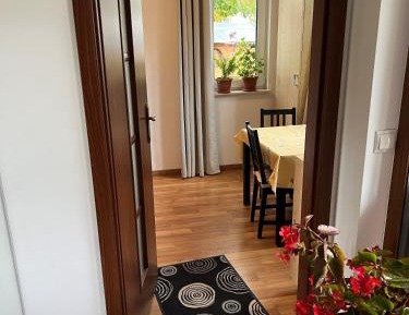 Double Room with Two Double Beds