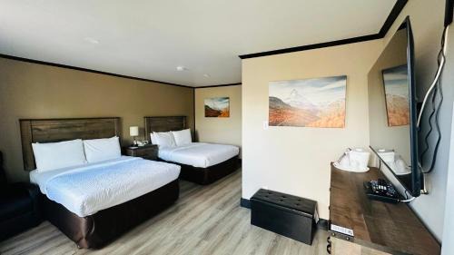Standard Double Suite