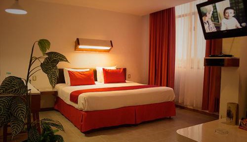 Superior Suite