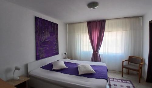 One-Bedroom Premium Apartment