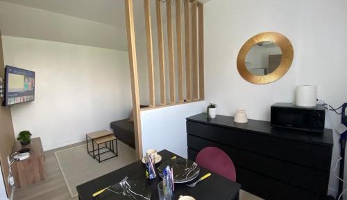 Studio with Sofa Bed