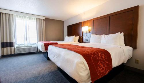 Double Bed Suite