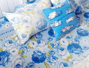 Budget Double or Twin Room