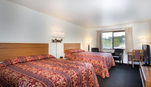 Budget Single Room