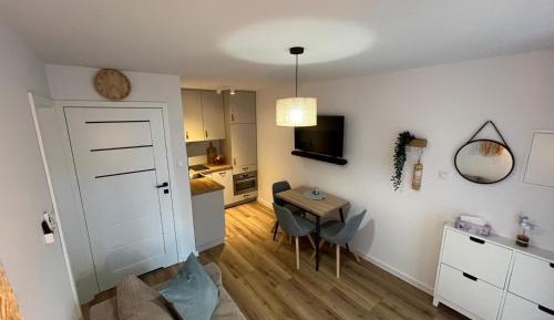One-Bedroom Apartment with Terrace