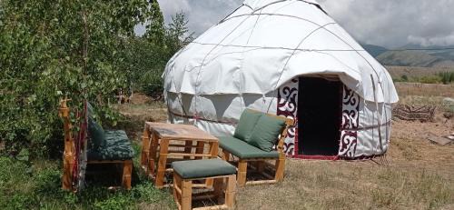Mobile Home