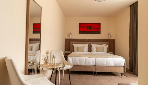 Superior Double or Twin Room with City View