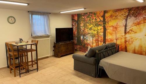 Studio Apartment