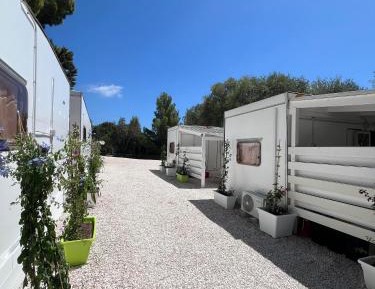 Mobile Home