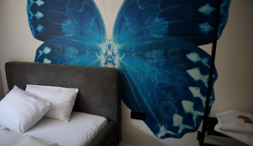 No. 16 - Miss Butterfly
