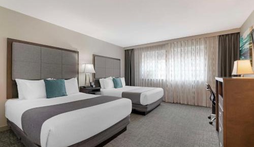 Large Queen Room with Two Queen Beds - Non-Smoking