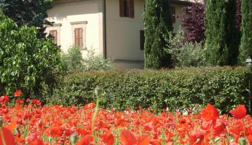 Double or Twin Room with Garden View