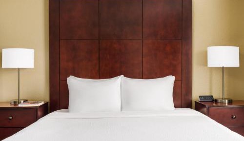 Queen Studio with Sofa Bed