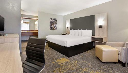 King Room - Pet Friendly