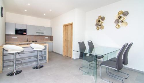 Two-Bedroom Apartment with Lake View