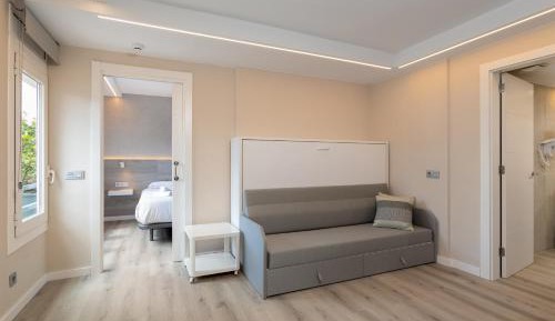 One-Bedroom Deluxe Apartment