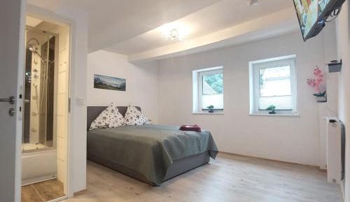 Deluxe Double Room with Shower