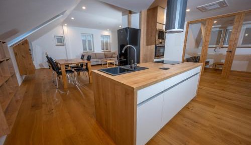 Penthouse Apartment