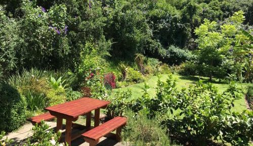 Apartment with Garden View