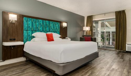 Standard King Room