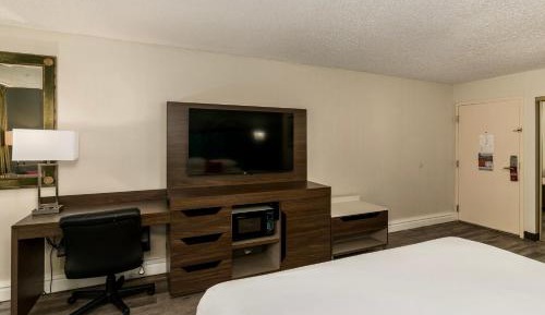 Standard Queen Room