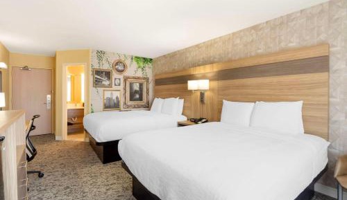 Queen Room with Two Queen Beds - Non-Smoking