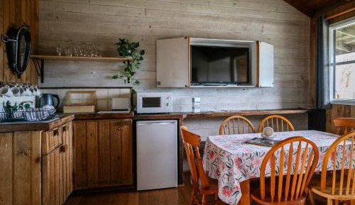 Deluxe Open Plan Family Cabin with Balcony