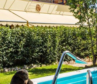 Studio with Pool View