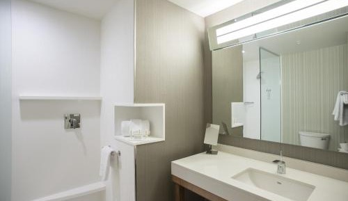 Suite, 2 Queen, Sofa bed