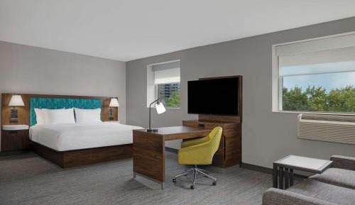 King Studio Suite with Park View