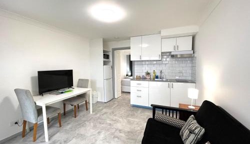 One-Bedroom Apartment with Sofa Bed