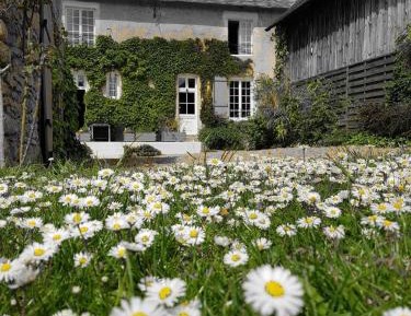 Quadruple Room with Private External Bathroom