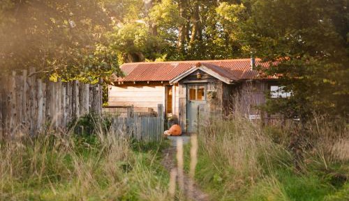 One-Bedroom House