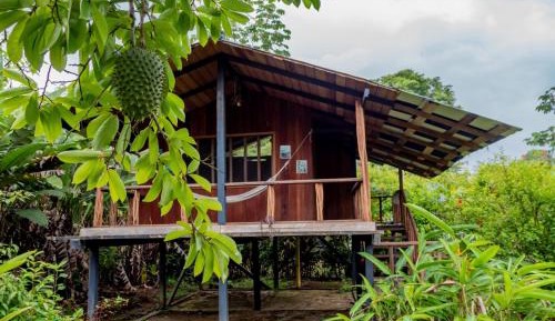 Deluxe Bungalow with Garden View