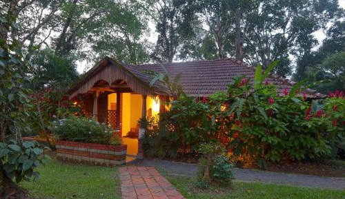 King Room with Garden View