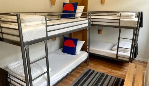 Bunk Bed in Mixed Dormitory Room