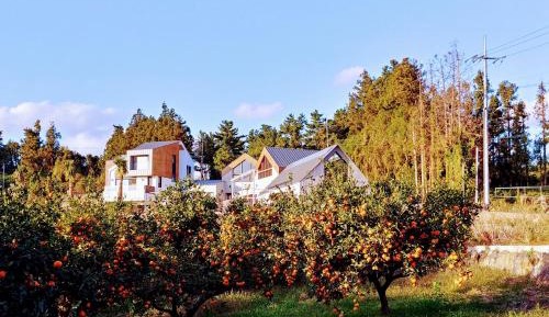 Superior Twin Room with Sea View