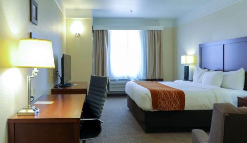 King Room - Non-Smoking