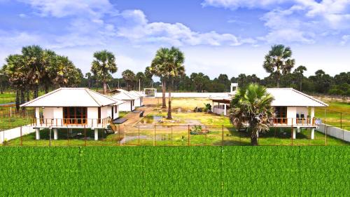 Bungalow - Beach Front
