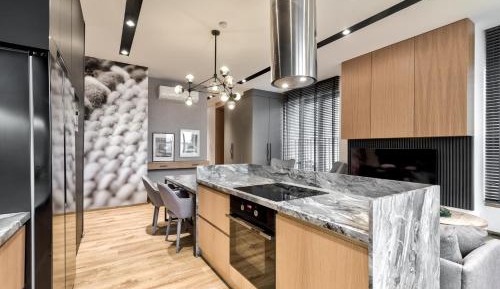 Penthouse Apartment