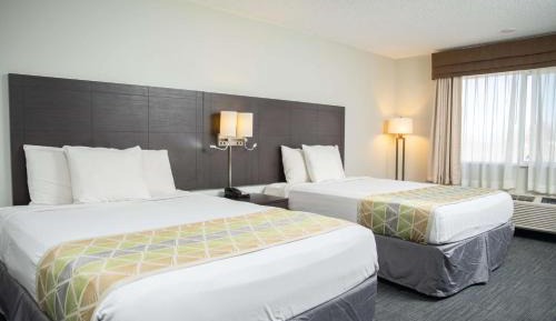 Queen Room with Two Queen Beds - Non-Smoking
