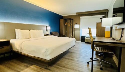 King Suite with Sofa Bed - Non-Smoking