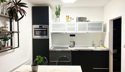 Duplex Apartment