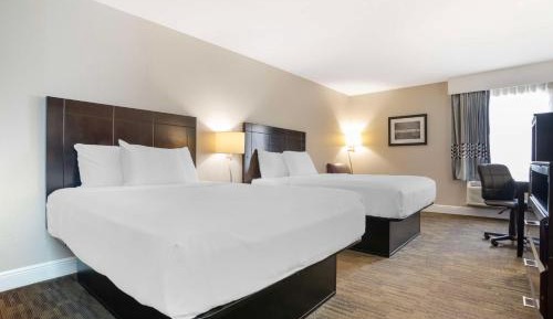Queen Room with Two Queen Beds - Non-Smoking