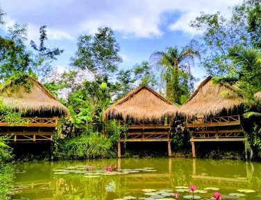 Twin Room with Lake View