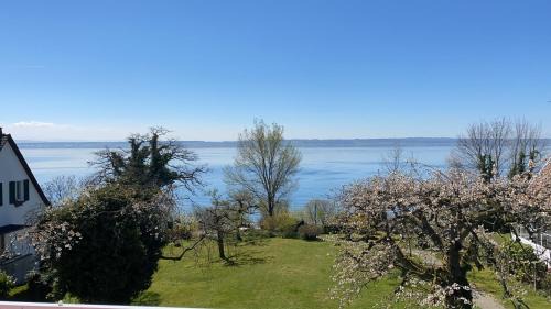 Apartment with Lake View